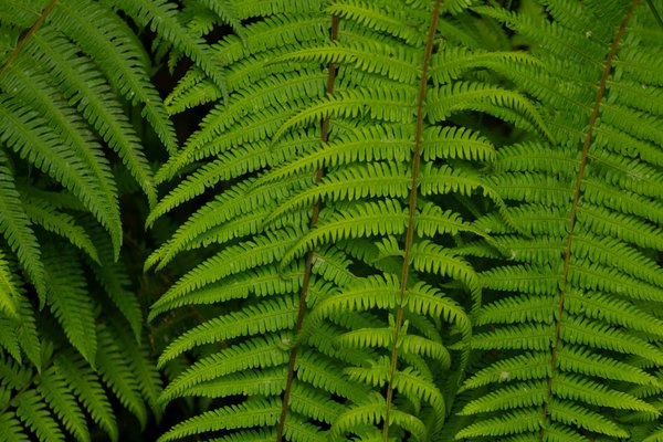 Changer un joint de velux : guide détaillé étape par étape