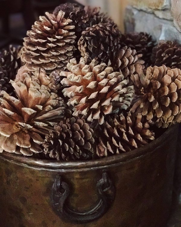 Comment mettre en place un projet de ciné-club scolaire sur le cinéma du monde ?